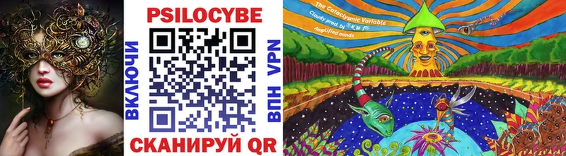 OMG ССЫЛКА  Аркадак  Псилоцибиновые грибы мицелий 